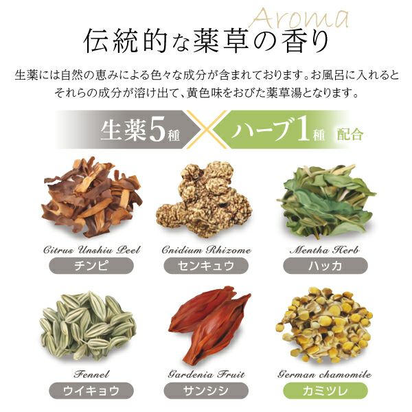 Amazon | 健美薬湯 薬用入浴剤 健美泉（けんびせん) 75g 3回分